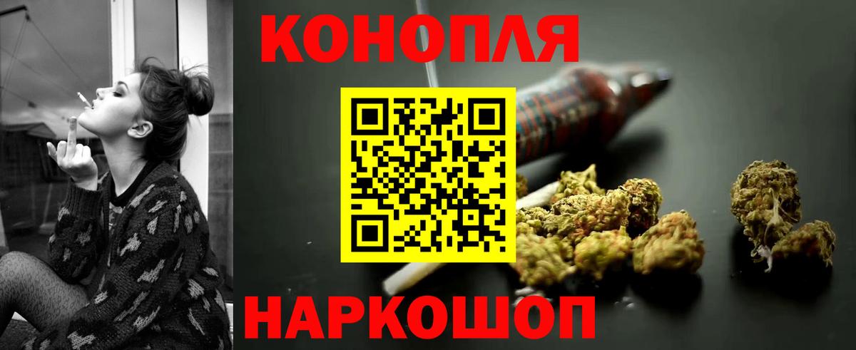 Бошки Шишки сатива Волжский